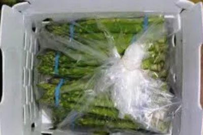 A box of asparagus wrapped in plastic.